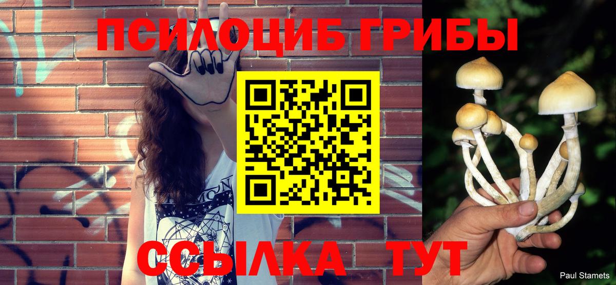 Каменка  Псилоцибиновые грибы ЛСД  Вход с VPN  где продают   Псилоцибиновые грибы MAGIC MUSHROOMS 