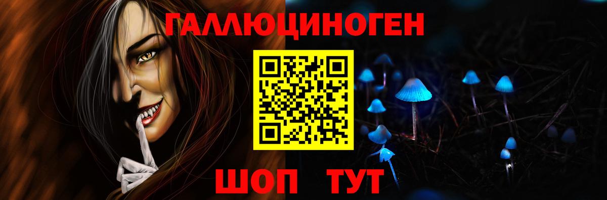 Псилоцибиновые грибы Psilocybine cubensis Каменка